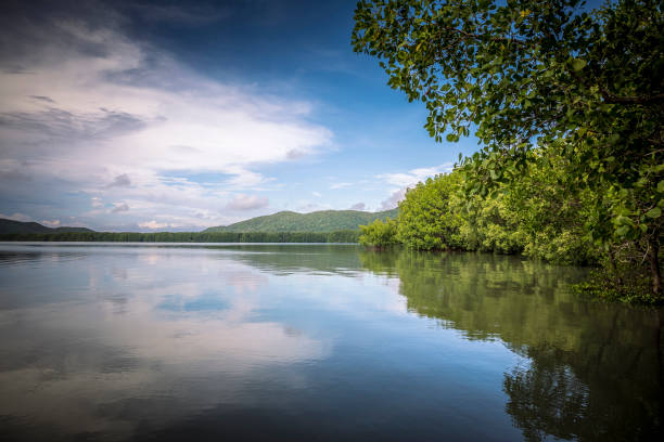 istock Kung Krabaen Bay Royal Development Study Center in Chanthaburi,Thailand. 863940522