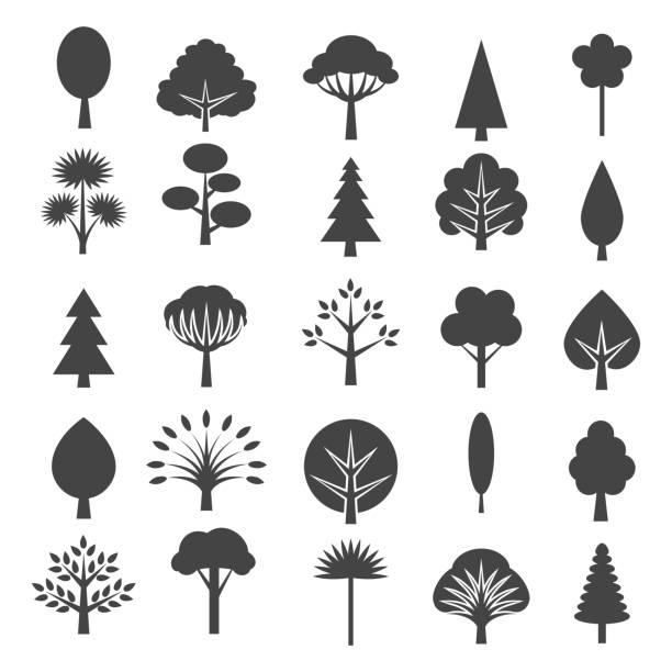 baum-ikonen isoliert auf weißem hintergrund - tree outline branch forest stock-grafiken, -clipart, -cartoons und -symbole