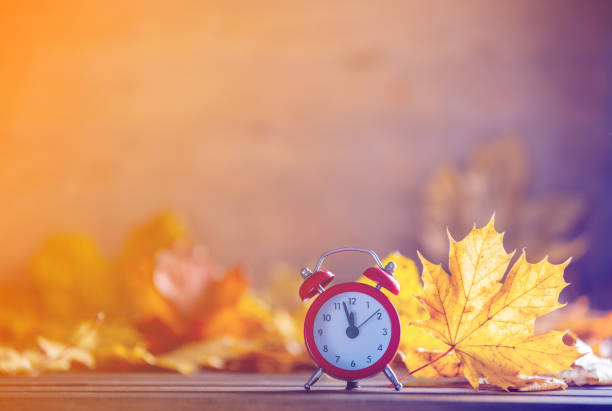 istock Vintage alarm clock and maple tree leaves 863948400