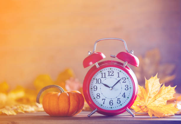istock Vintage alarm clock and maple tree leaves with pumpkins 863948424
