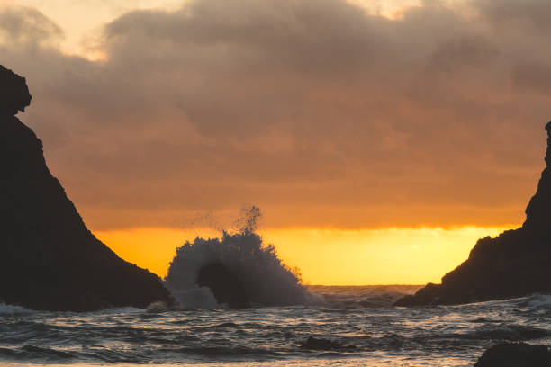 istock Rocky Pacific Coastline at Sunset 863954330