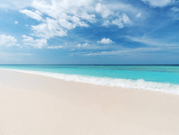 istock Tropical seascape of Maldives 863982854