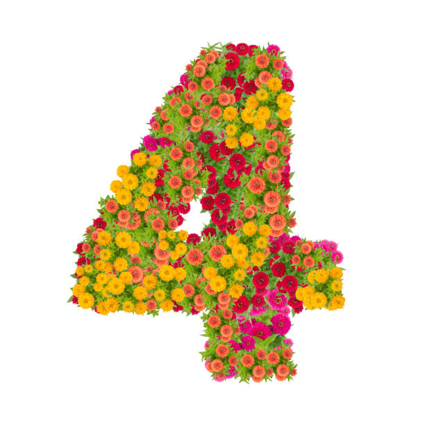 istock number 4 made from Zinnias flowers isolated on white background. 863988224