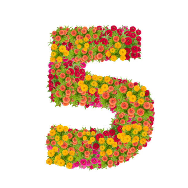 istock number 5 made from Zinnias flowers isolated on white background. 863988342