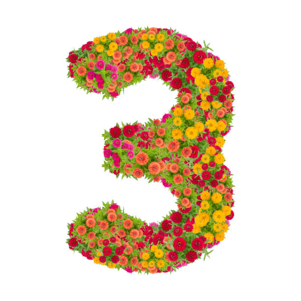 istock number 3 made from Zinnias flowers isolated on white background. 863990790