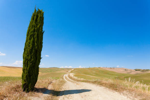 istock Tuscany hills landscape, Italy 863993924