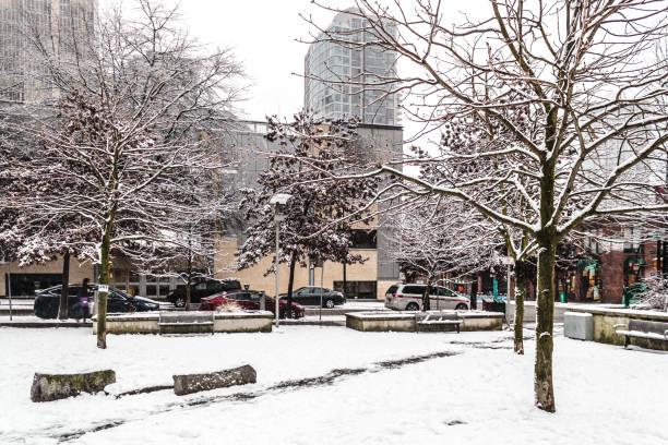 Zurich City with some modern residential buildings captured during winter season after heavy snowfall.