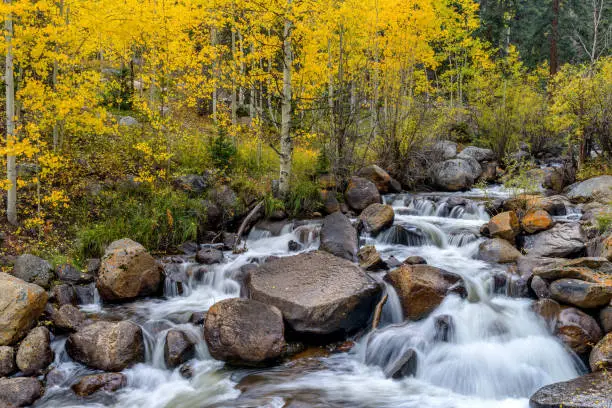 Photo of Autumn view of a small creek waterfall at side of Guanella Pass Scenic Byway, near Grant, Colorado, USA.