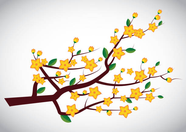 цветы желтого абрикоса (ochna integerrima) на ветке дерева - вектор - ochoa stock illustrations