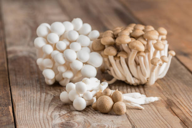 istock Shimeji mushrooms brown and white varieties. 864012960