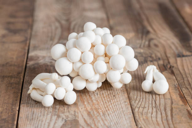 istock Shimeji mushrooms white varieties. 864012970