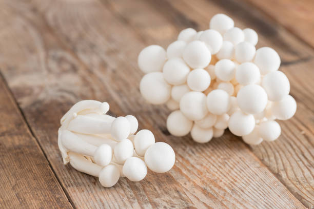 istock Shimeji mushrooms white varieties. 864012994