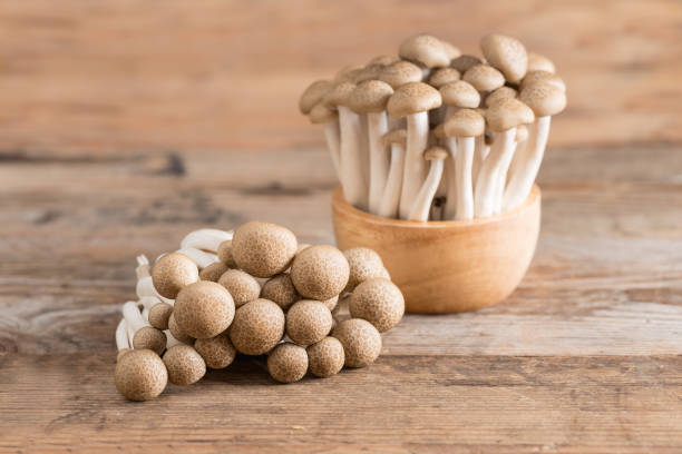 istock Shimeji mushrooms brown varieties. 864013046