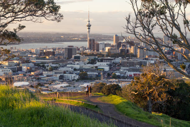 Auckland skyline from the top of Mount Eden, New Zealand Taken from the highest peak of Auckland auckland region stock pictures, royalty-free photos & images