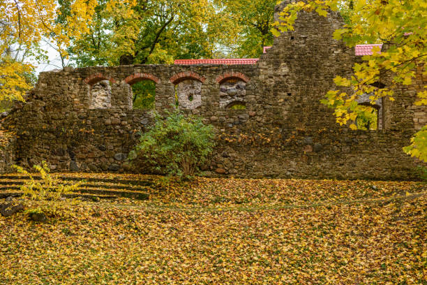 istock autumn colored trees in the park 864021098