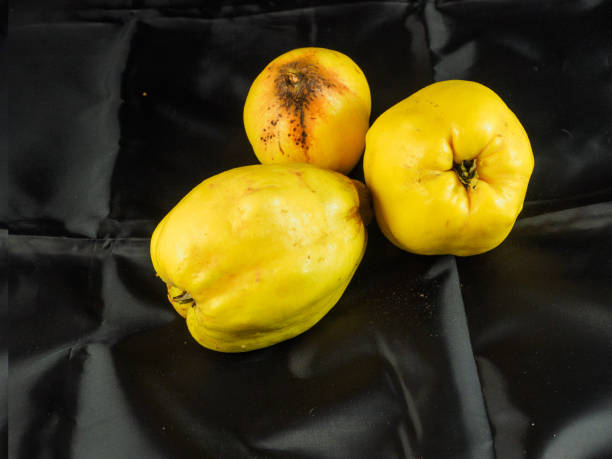 istock Quince fruit on the black background 864024036