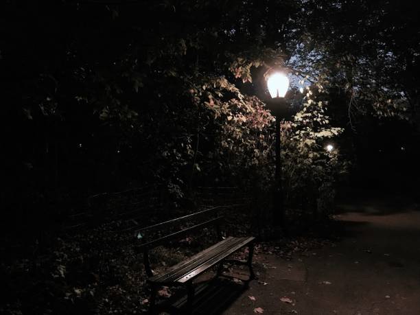 istock Lights of the Central Park 864024070