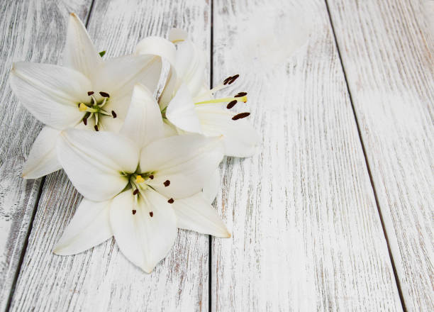 istock White  lilies on a wooden table 864043634