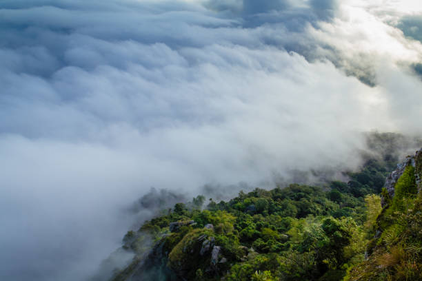 istock Aerial view of the forest 864053334