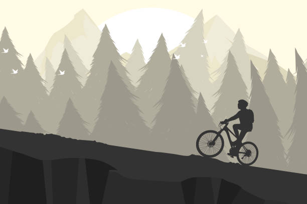 실루엣 산악 자전거 - mountain biking mountain bike bicycle cycling stock illustrations