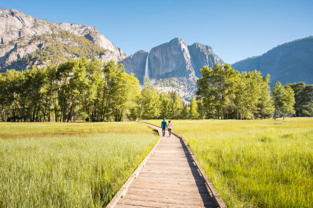 sentinel wiese promenade und blick auf yosemite wasserfälle - yosemite valley stock-fotos und bilder