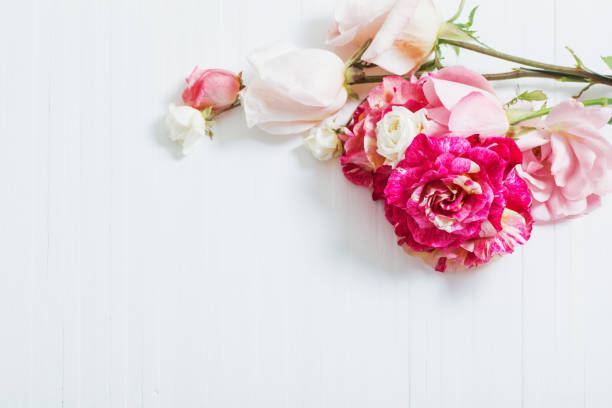 istock beautiful roses on wooden background 864110676