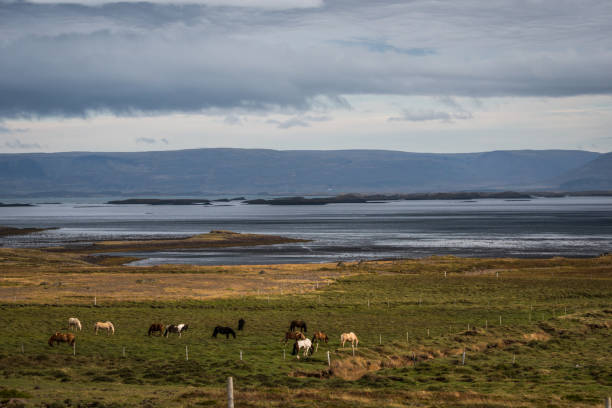 istock Road trip in Iceland 864120690