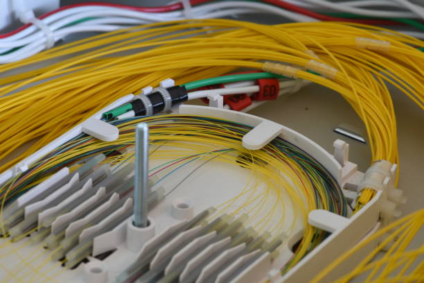 istock Splicing the fibers on spice tray 864132214