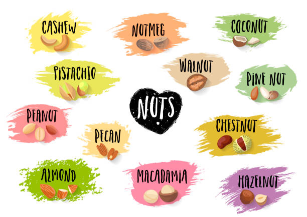 ilustraciones, imágenes clip art, dibujos animados e iconos de stock de conjunto de vectores de moda emblemas de varias tuercas y deletreado negro en manchas coloridas. - pine nut illustrations