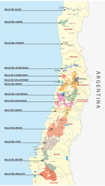 ilustraciones, imágenes clip art, dibujos animados e iconos de stock de mapa del país del vino chileno - vinos chilenos
