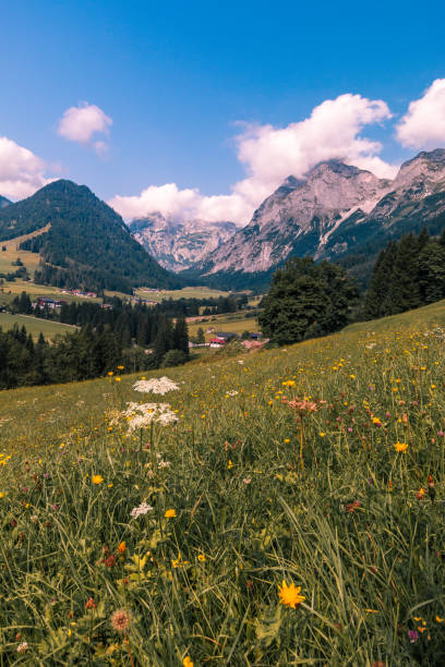istock green meadow in the mountains 864138512