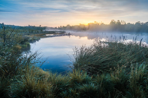Moor lake at sunrise