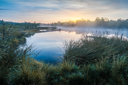 Landscape Moor with lake and grass at sunrise