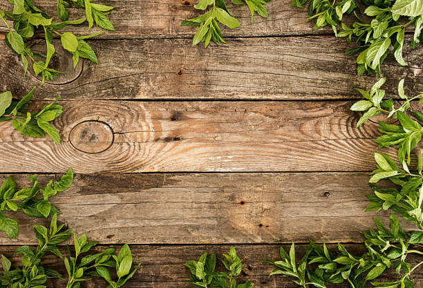istock Frame from mint over on old wooden background. Rustic style. Copy space 864145808