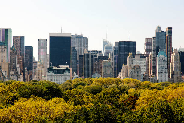 istock A view of NYC skyline from central park 864148796