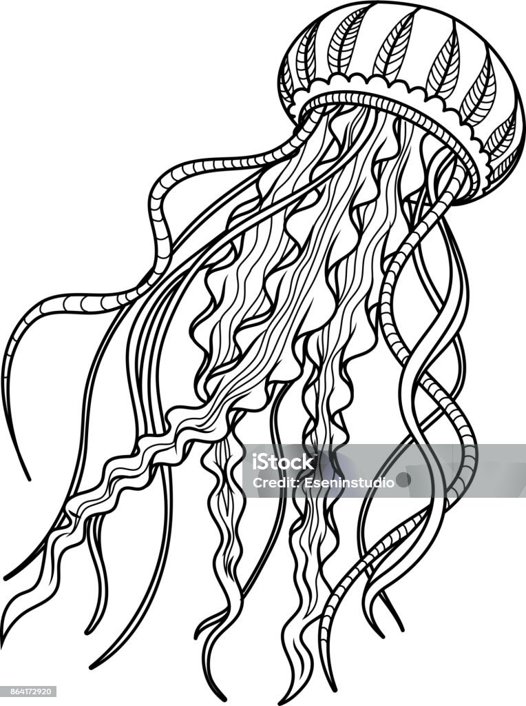 Ilustración de Antiestrés De Medusas Boceto Dibujado Mano Para Adultos Antiestrés Para Colorear Página y más Vectores Libres de Derechos de Medusa - Cnidario - iStock Ilustración de Antiestrés De Medusas Boceto Dibujado Mano Para Adultos Antiestrés Para Colorear Página y más Vectores Libres de Derechos de Medusa - Cnidario - iStock