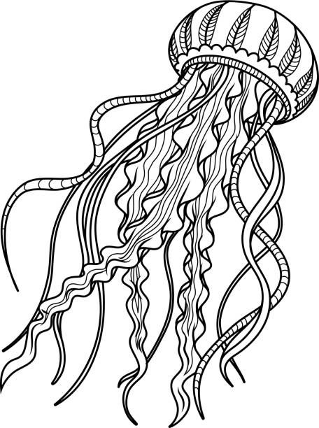 ilustraciones, imágenes clip art, dibujos animados e iconos de stock de antiestrés de medusas. boceto dibujado mano para adultos antiestrés para colorear página. - jellyfish sea green underwater