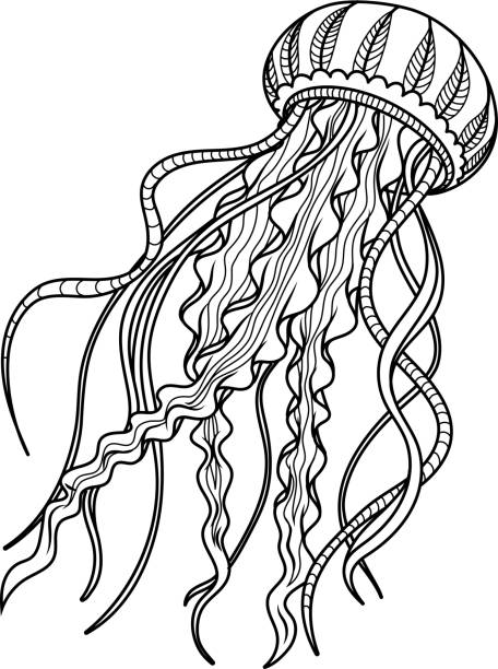 illustrations, cliparts, dessins animés et icônes de anti stress de méduses. main dessiné croquis pour adultes coloriage anti-stress. - jellyfish sea green underwater