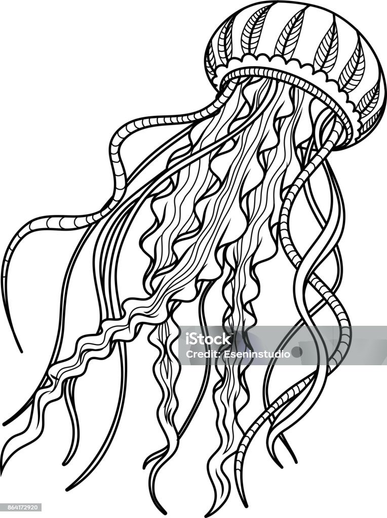 Jellyfish antistress. Hand drawn sketch for adult antistress coloring page. Jellyfish antistress. Hand drawn sketch for adult antistress coloring page. Freehand illustration. Monochrome sketch. Jellyfish stock vector
