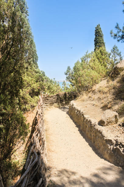 istock The path leading to the ascent. 864176490