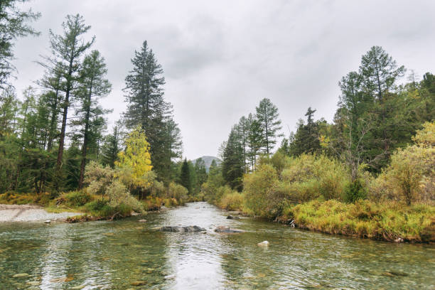 istock River. Altai Mountains Autumn landscape 864180712
