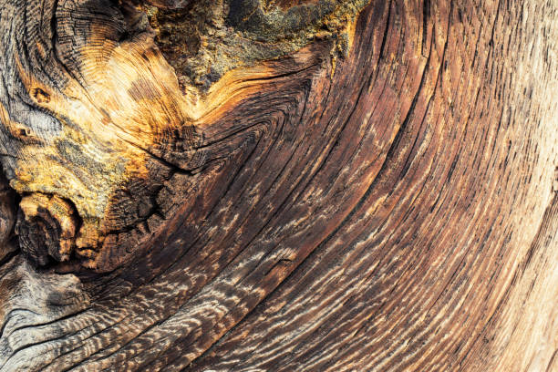 istock Wood Texture With Natural Pattern. closeup of wood texture 864186900