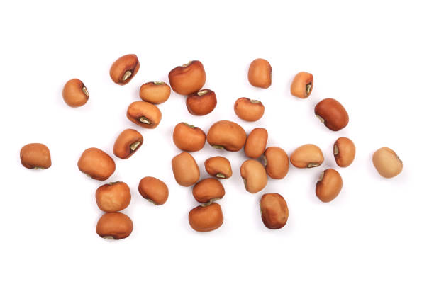istock soybeans isolated on white background top view 864197742