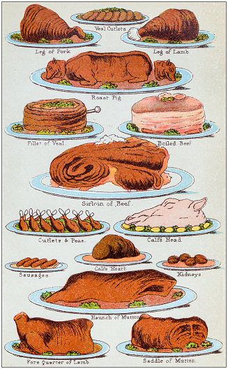 Antique recipes book engraving illustration: Meat