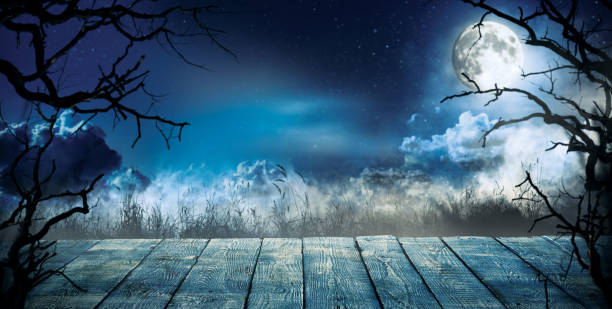 istock Spooky horror background with empty wooden planks 864209728
