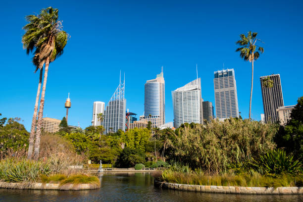 istock Royal Botanic Gardens In Sydney 864212460