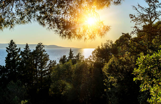 istock Sunset at the sea. 864241296