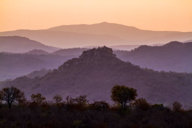 sunrise-landschaft im krüger nationalpark, südafrika - kruger national park sunrise south africa africa stock-fotos und bilder