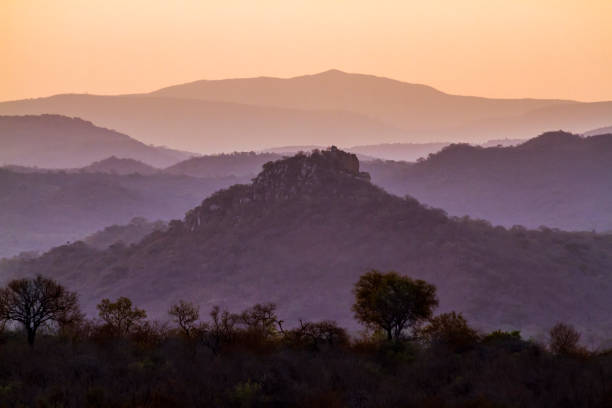 일출 풍경 남아프리카 공화국 크루 거 국립 공원 - kruger national park sunrise south africa africa 뉴스 사진 이미지