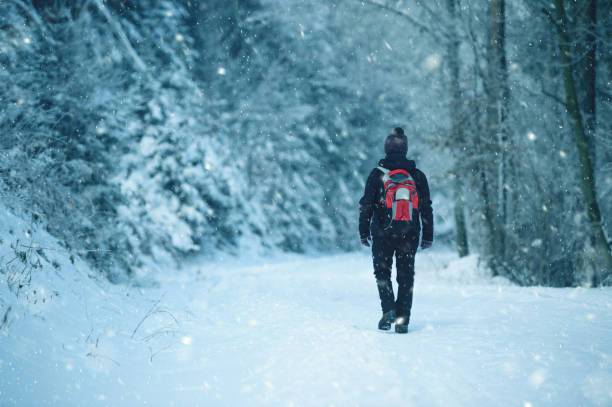 istock Winter Walk In The Morning 864251508